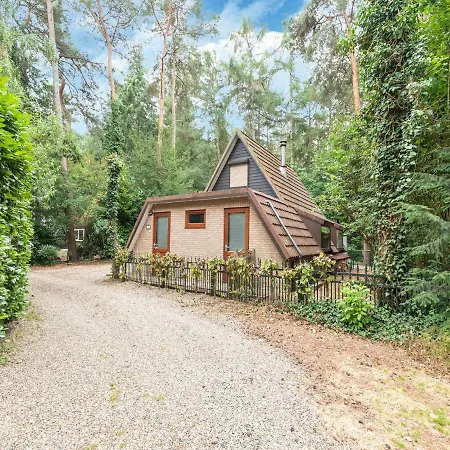 Cozy In In A Wooded Area *